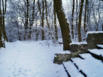 Fotoblog safehaven95