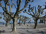 Fotoblog patalata