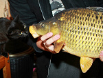Fotoblog rafal350