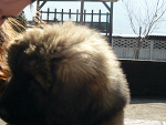 Fotoblog goniaccel