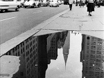 Fotoblog bold6