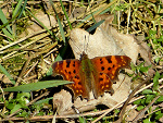 Fotoblog stanislaw123