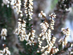 Fotoblog walczakg