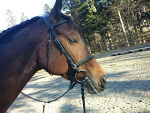 Fotoblog blyskawicowa