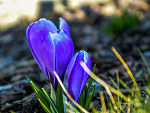 Fotoblog artphotos