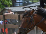 Fotoblog jadziaa96