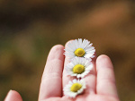 Fotoblog kameliaaa