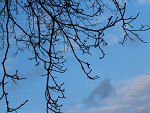 Fotoblog cichaxx