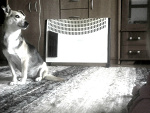 Fotoblog litlemoonster57