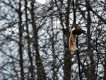 Fotoblog 1april