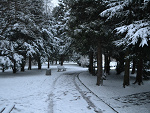 Fotoblog bluskay