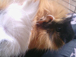 Fotoblog iamangela