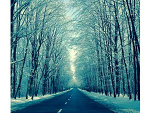Fotoblog rosycrimson