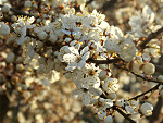Fotoblog yosi