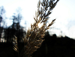 Fotoblog soniaphotography