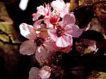 Fotoblog rawnatalia