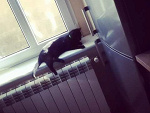 Fotoblog claudyncia