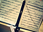 Fotoblog sandrus3004