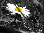 Fotoblog duszka862