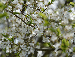 Fotoblog dreameddreams9