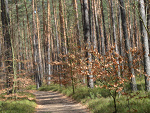 Fotoblog olakolodziej