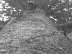 Fotoblog oliwiarom2