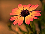 Fotoblog mojefotografie