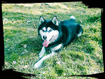 Fotoblog wychylylybymy
