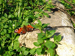 Fotoblog gosiek7785