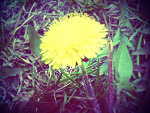 Fotoblog szarokolorowa69