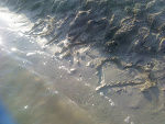 Fotoblog totakapieknagra