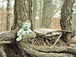 Fotoblog ragnarok3