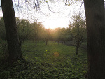 Fotoblog fraxen