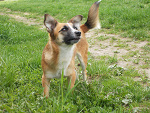 Fotoblog mojaoryginalnabajka