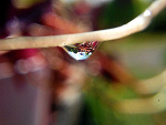 Fotoblog nikonikd3100