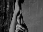 Fotoblog xpossessionx
