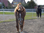 Fotoblog niusia2002