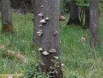 Fotoblog dodek119