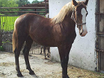 Fotoblog imprresja