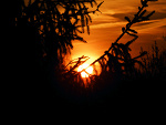 Fotoblog nastalia