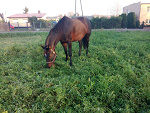 Fotoblog olusiova12