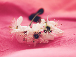 Wpis sweetsad