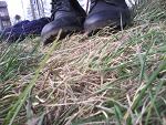 Fotoblog buszekk