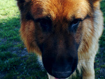 Fotoblog differentday