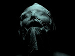 Fotoblog yuanshitianzun