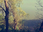 Fotoblog fleurrebelle96