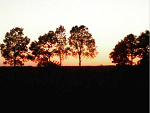 Fotoblog blazejowa