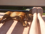 Fotoblog babygirl94