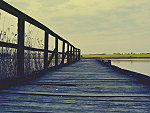 Fotoblog asba88
