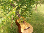 Fotoblog ajsiju